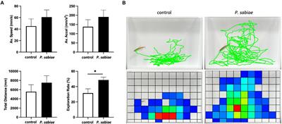 Paraburkholderia sabiae administration alters zebrafish anxiety-like behavior via gut microbial taurine metabolism